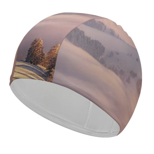 yanfind Swimming Cap Dominic Kamp Rigi Kulm Mount Rigi  Range Landscape Snow Covered Winter Elastic,suitable for long and short hair