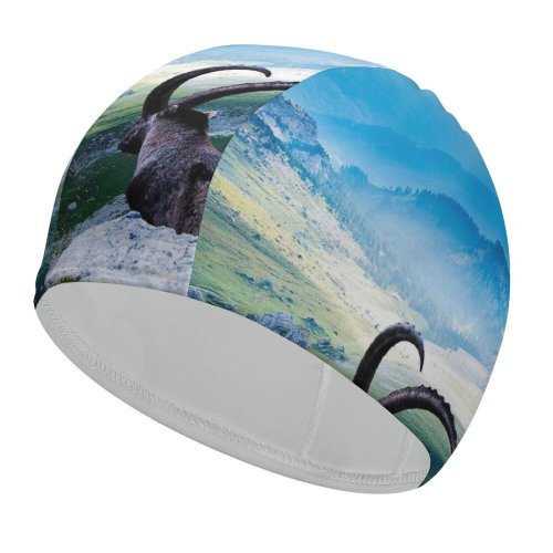yanfind Swimming Cap Robin Kamp Mount Pilatus Goat Landscape Valley Clouds Sunlight Scenic Elastic,suitable for long and short hair