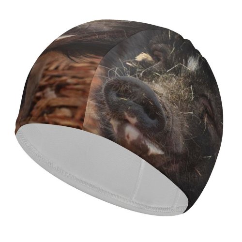 yanfind Swimming Cap Sanctuary Images Hog Wallpapers Grey Pictures Happy Pig Boar Farm Stock Free Elastic,suitable for long and short hair