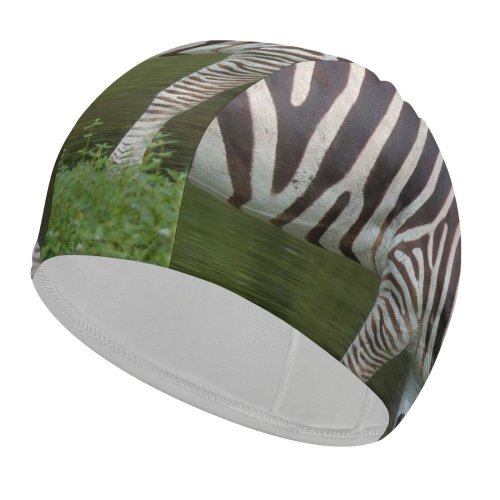 yanfind Swimming Cap Images Country Fl Wildlife Wallpapers Safari Stock Loxahatchee Free Stripes Zebra Pictures Elastic,suitable for long and short hair