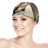 yanfind Swimming Cap Sunny Images Tail Wildlife Wallpapers Grey Zebra Pictures PNG HQ Elastic,suitable for long and short hair