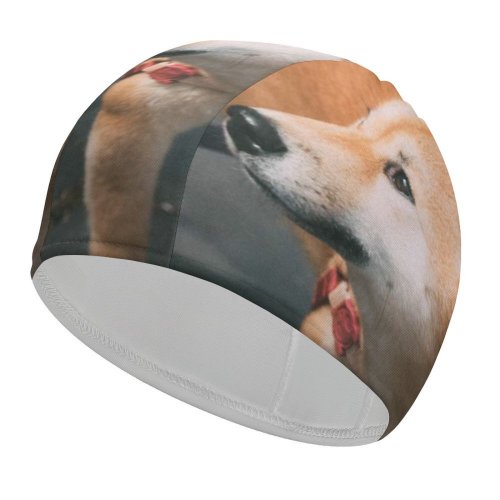 yanfind Swimming Cap Lovely Images Pet HQ Mood Wallpapers Pup Shiba Pictures Moody Strap Flagstone Elastic,suitable for long and short hair