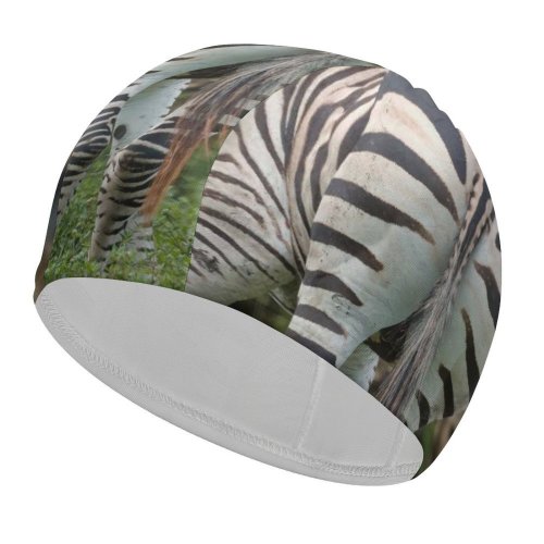yanfind Swimming Cap Images Country Fl Wildlife Wallpapers Safari Loxahatchee Stripes Zebra Pictures Creative Lion Elastic,suitable for long and short hair