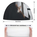 yanfind Swimming Cap Lovely Gatinhos Images Pet Manx Public Wallpapers Decor Abyssinian Gold Pictures Exposição Elastic,suitable for long and short hair