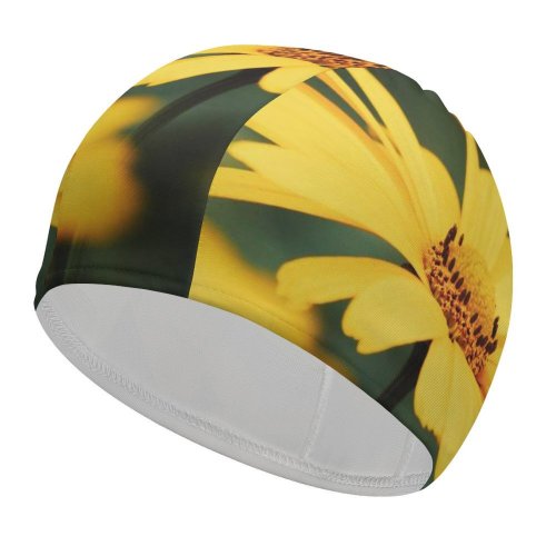 yanfind Swimming Cap Images Autumn Dnipro Украина Last Petal Днепропетровская Filed Wallpapers Plant Garden Asteraceae Elastic,suitable for long and short hair