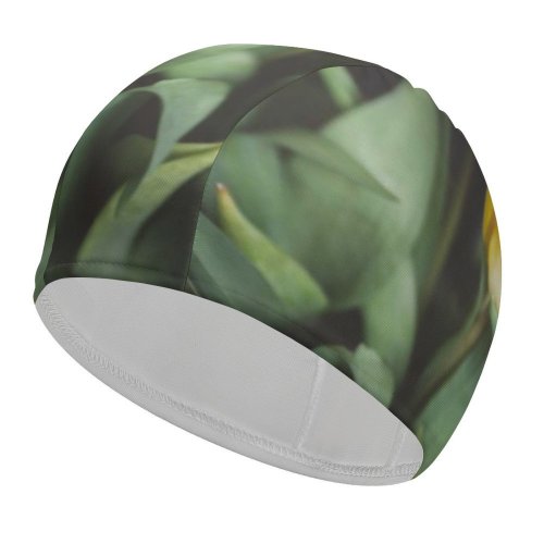 yanfind Swimming Cap Images Arrangement Tullips Bouquet Floral Flora Spring Petal Wallpapers Plant Tulip Pictures Elastic,suitable for long and short hair