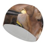yanfind Swimming Cap Lovely Images Golden Wallpapers Forest Harness Pictures Dog Pet Free Strap Elastic,suitable for long and short hair