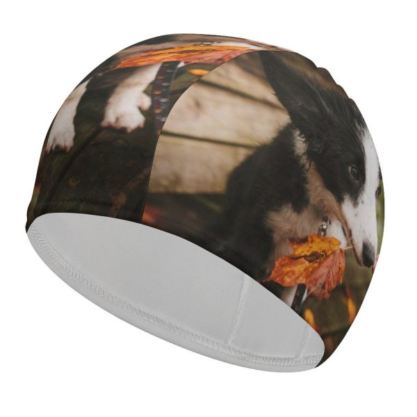 yanfind Swimming Cap October Images Fall Autumn  Pet Sigma Wallpapers Silly Free Goofy Minnesota Elastic,suitable for long and short hair