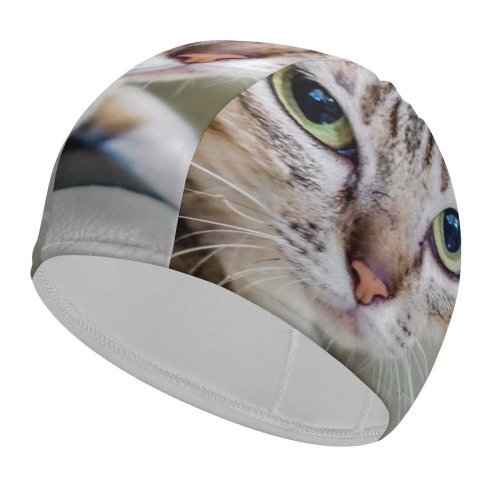 yanfind Swimming Cap Lovely Images Pet Manx Public Wallpapers Abyssinian Phnom Cambodia Pictures Chair Room Elastic,suitable for long and short hair