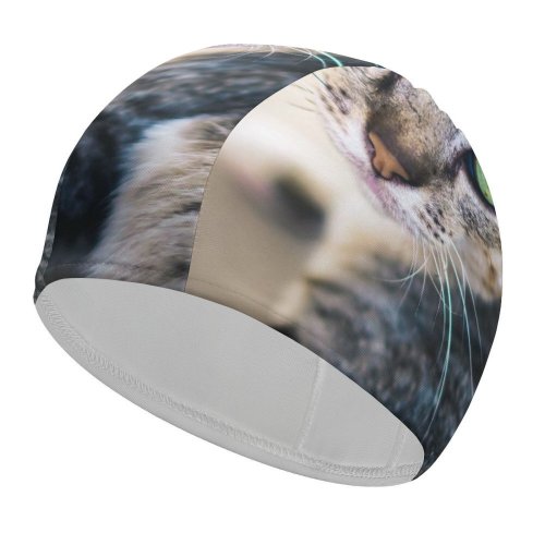 yanfind Swimming Cap Lovely Images Penh Shoot Abyssinian Pictures Pet Kitten PNG Phnom Cambodia Cat Elastic,suitable for long and short hair