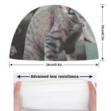 yanfind Swimming Cap Lovely Kitty Images Pet  Manx Wallpapers Decor Abyssinian Free Blueish Pictures Elastic,suitable for long and short hair