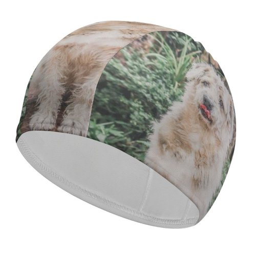 yanfind Swimming Cap Lovely Images Pet Wallpapers Plant Outdoors Pictures Creative Grey Dog Commons Elastic,suitable for long and short hair