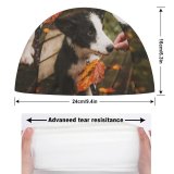 yanfind Swimming Cap October Images Fall Autumn  Pet Sigma Wallpapers Silly Free Goofy Minnesota Elastic,suitable for long and short hair