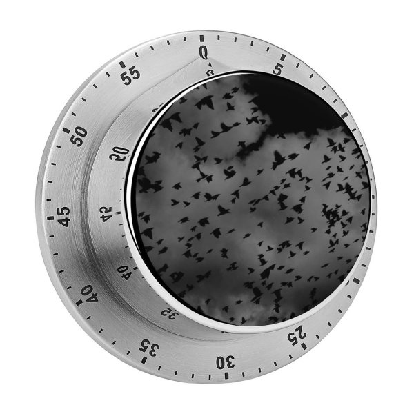 yanfind Timer Sad Images Flock Flora Mood Sky Wallpapers Horror Halloween Plant Wildlife Travel 60 Minutes Mechanical Visual Timer