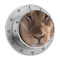 yanfind Timer Images Whiskers Africa Wildlife Safari   Free Lioness Watch Pictures Big 60 Minutes Mechanical Visual Timer