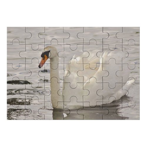 yanfind Picture Puzzle  Lake Park Roath Wildlife  Bird Beak Ducks Geese Swans Waterfowl Family Game Intellectual Educational Game Jigsaw Puzzle Toy Set