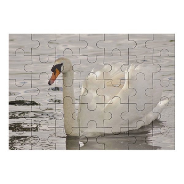 yanfind Picture Puzzle  Lake Park Roath Wildlife  Bird Beak Ducks Geese Swans Waterfowl Family Game Intellectual Educational Game Jigsaw Puzzle Toy Set