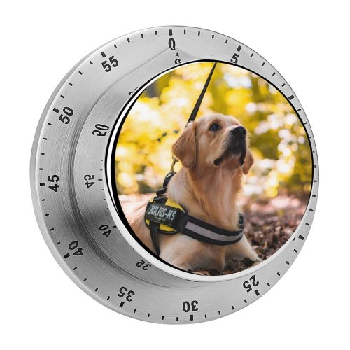 yanfind Timer Lovely Images Golden Wallpapers Forest Harness Pictures Dog Pet Free Strap 60 Minutes Mechanical Visual Timer