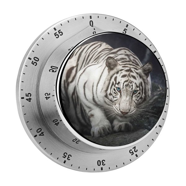 yanfind Timer Anek Suwannaphoom Bengal  Rocks Starring 60 Minutes Mechanical Visual Timer