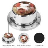 yanfind Timer Images Hog Pictures Pig Free 60 Minutes Mechanical Visual Timer