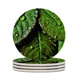 yanfind Ceramic Coasters (round) Dark Leaves Drops Dew Closeup Macro   Greenery Family Game Intellectual Educational Game Jigsaw Puzzle Toy Set