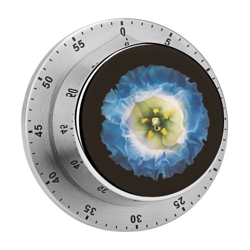 yanfind Timer Growth Dark Intricacy Shot Impulse East Sensory Abstract Health China Flower Generated 60 Minutes Mechanical Visual Timer