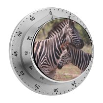 yanfind Timer Images Wildlife Wallpapers Grey Zebra Pictures Free 60 Minutes Mechanical Visual Timer