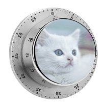 yanfind Timer Lovely Images Wallpapers Pictures Pet Kitten Angora Stock Free Cute Cat 60 Minutes Mechanical Visual Timer