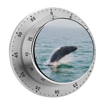 yanfind Timer  Images  Ocean  Sea Wallpapers Wildlife  Harbor Travel Stock 60 Minutes Mechanical Visual Timer