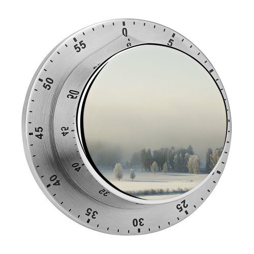 yanfind Timer Snow Clear Tree Scenics Landscape Winter Temperature Destinations Fog Tranquility Scenery Coniferous 60 Minutes Mechanical Visual Timer