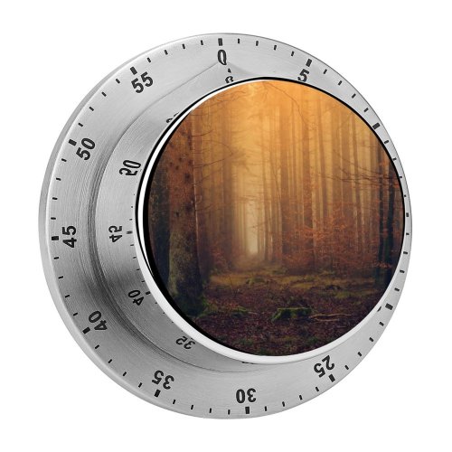 yanfind Timer Johannes Plenio Forest Autumn Fall Foliage Mist Foggy Dark 60 Minutes Mechanical Visual Timer