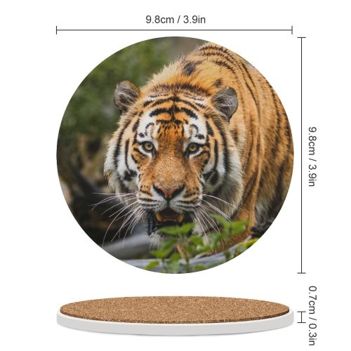 yanfind Ceramic Coasters (round) Bengal  Big Cat  Wild Family Game Intellectual Educational Game Jigsaw Puzzle Toy Set