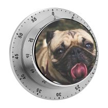 yanfind Timer Lovely Images Nuevo Pet Laredo  Panting Public Tongue Wallpapers Lick Pictures 60 Minutes Mechanical Visual Timer