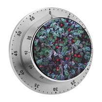 yanfind Timer Snow Fragility Tree Summer France Winter Frozen Temperature Focus Beauty Selective Leaf 60 Minutes Mechanical Visual Timer