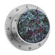 yanfind Timer Snow Fragility Tree Summer France Winter Frozen Temperature Focus Beauty Selective Leaf 60 Minutes Mechanical Visual Timer