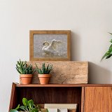 yanfind Picture Puzzle Roath Park  Cardiff Wales Lake Wildlife Outdoors Bird Beak Ducks Geese Family Game Intellectual Educational Game Jigsaw Puzzle Toy Set