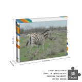 yanfind Picture Puzzle Zebra Terrestrial Wildlife Vertebrate Grassland Pasture Grass Family Game Intellectual Educational Game Jigsaw Puzzle Toy Set
