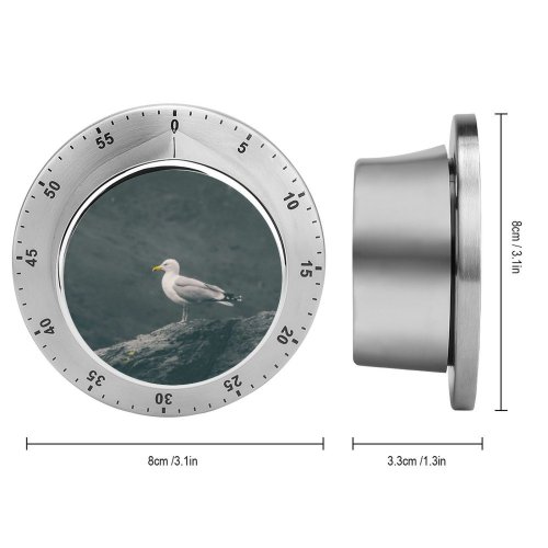 yanfind Timer Shoreline Images Feathers Shore Seagull Wild Bill Wallpapers Sea Wildlife Stock Free 60 Minutes Mechanical Visual Timer
