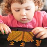 yanfind Picture Puzzle Leaf  Lily Plant Symmetry Family Family Game Intellectual Educational Game Jigsaw Puzzle Toy Set