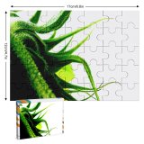 yanfind Picture Puzzle  Flower Angry Prickle Plant Botany Leaf Vascular Stem Organism Terrestrial Chlorophyta Family Game Intellectual Educational Game Jigsaw Puzzle Toy Set