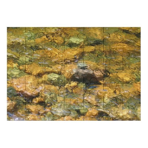 yanfind Picture Puzzle River Transparency Rocks Warm Shallow Rock Mineral Organism Geology Watercourse Family Game Intellectual Educational Game Jigsaw Puzzle Toy Set