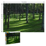 yanfind Picture Puzzle Grass Trees Woods Daylight Forest Landscape Family Game Intellectual Educational Game Jigsaw Puzzle Toy Set