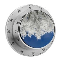 yanfind Timer Images Christmas Structure HQ Frost Snow Sky Wallpapers Outdoors Tree Free Winter 60 Minutes Mechanical Visual Timer