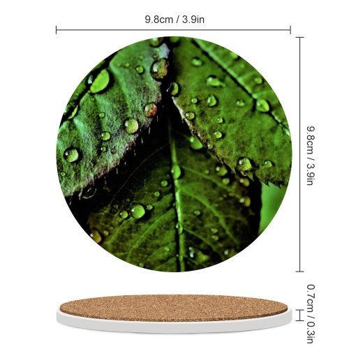 yanfind Ceramic Coasters (round) Dark Leaves Drops Dew Closeup Macro   Greenery Family Game Intellectual Educational Game Jigsaw Puzzle Toy Set