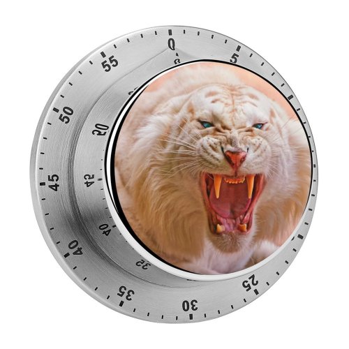 yanfind Timer  Roaring Eyes  Wild 60 Minutes Mechanical Visual Timer