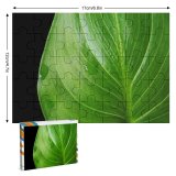 yanfind Picture Puzzle Leaf Raindrop Vein Distort Terrestrial Plant Flower Botany  Lily Flowering Banana Family Game Intellectual Educational Game Jigsaw Puzzle Toy Set