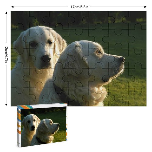 yanfind Picture Puzzle Dog Golden Vertebrate Canidae Carnivore Maremma Sheepdog Polish Tatra Family Game Intellectual Educational Game Jigsaw Puzzle Toy Set