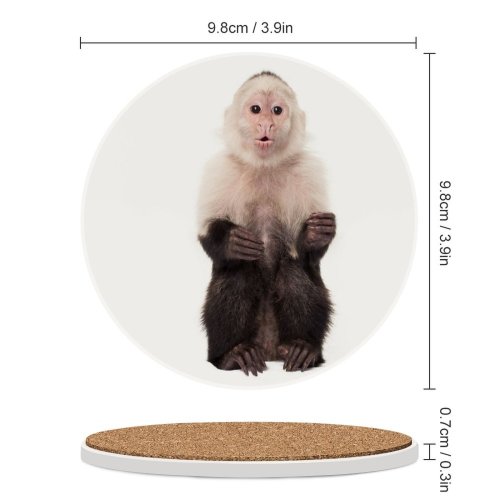 yanfind Ceramic Coasters (round) Monkey Capuchin Studio Shot Portrait California Culver City Facial Expression Gossip Mouth Family Game Intellectual Educational Game Jigsaw Puzzle Toy Set