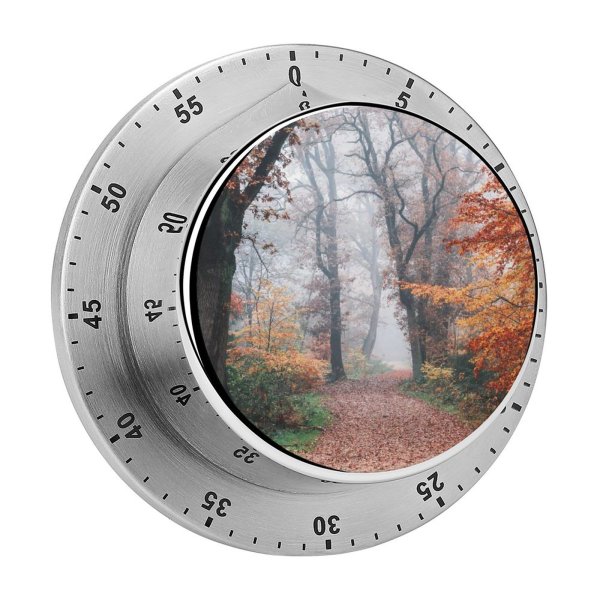 yanfind Timer Autumn Forest Fall Foliage Trees Foggy Morning 60 Minutes Mechanical Visual Timer