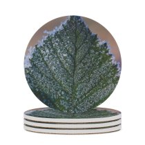 yanfind Ceramic Coasters (round) Images Floral Mist Frost Foliage Public Snow Wallpapers Plant Outdoors Scenery Winter Family Game Intellectual Educational Game Jigsaw Puzzle Toy Set